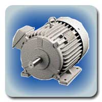 FUJI Standard 3-phase Motor