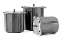 Panasonic Induction Motor